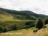 Carpathian trip - view 5 